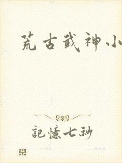 荒古武神小说