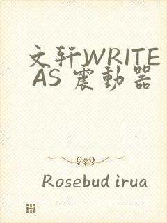 文轩WRITE AS 震动器封面