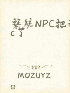 系统NPC把我c了