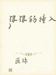 狠狠的撞入(h)