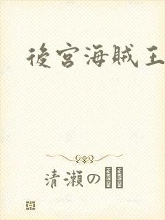 后宫海贼王