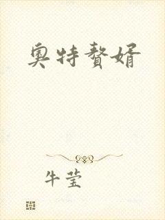 奥特赘婿