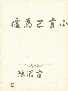 据为己有小说