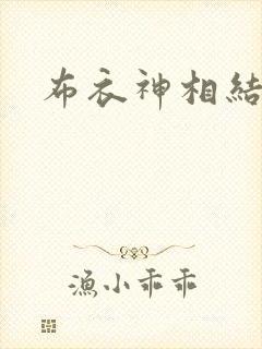布衣神相结局封面
