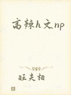 高辣h文np