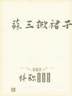 苏三掀裙子封面