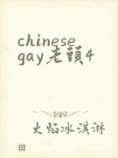 chinesegay老头4