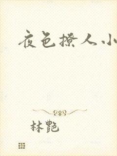 夜色撩人小说