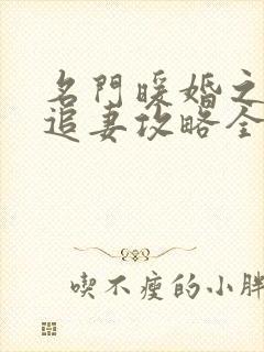 名门暖婚之权爷追妻攻略全文免费阅读封面
