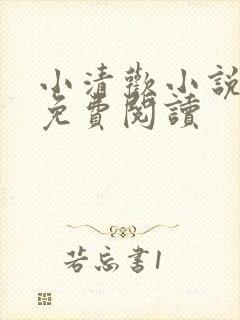 小清欢小说全文免费阅读封面