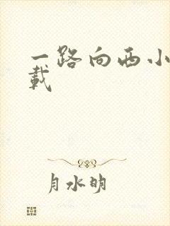 一路向西小说下载