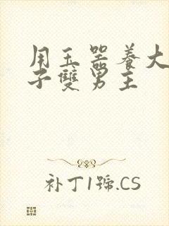 用玉器养大的皇子双男主