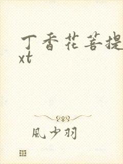 丁香花菩提树txt