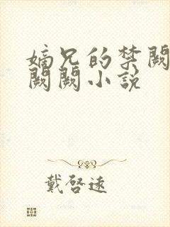 嫡兄的禁阙 华阙阙小说封面