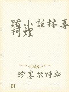 赌小说林喜朝和柯煜