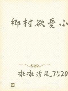 乡村欲爱小说封面