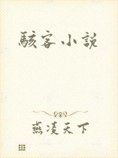 骇客小说