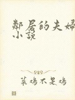 邻居的夫妇交换小说