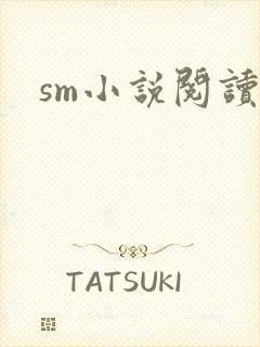 sm小说阅读