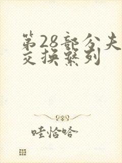 第28部分夫妇交换系列封面