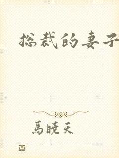 总裁的妻子