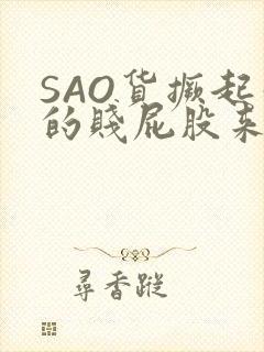 SAO货撅起你的贱屁股来