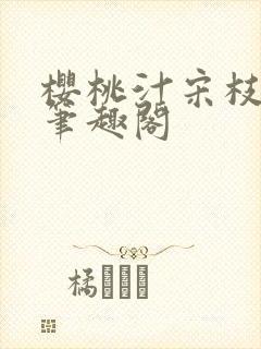 樱桃汁宋枝江野笔趣阁封面