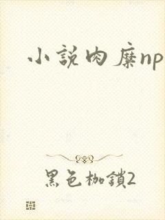 小说肉糜np