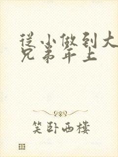 从小做到大骨科兄弟年上封面