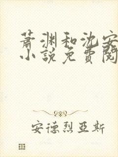 萧渊和沈安安的小说免费阅读封面