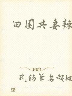 田园共妻辣