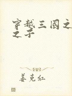 穿越三国之袁绍之子封面