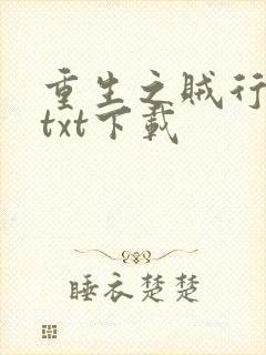 重生之贼行天下txt下载
