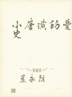 小唐璜的爱情历史