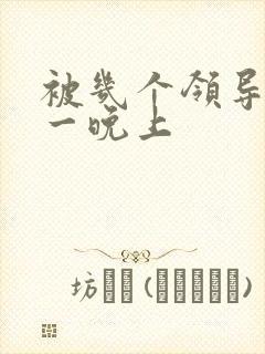 被几个领导玩弄一晚上