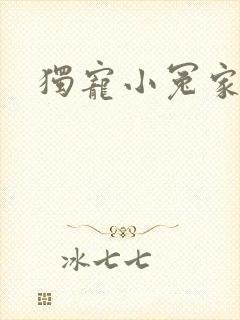 独宠小冤家封面