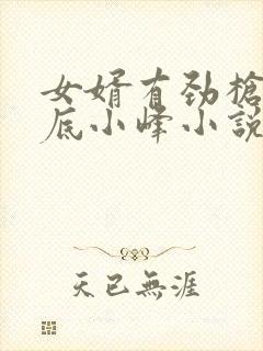 女婿有劲枪枪到底小峰小说封面