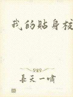 我的贴身校花