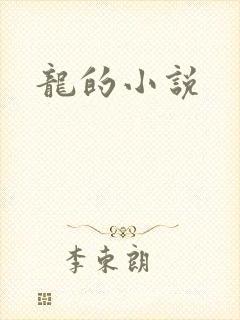 龙的小说