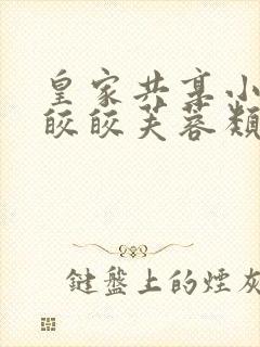 皇家共享小公主皎皎芙蓉类小说封面