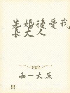 先婚后爱我的市长大人封面
