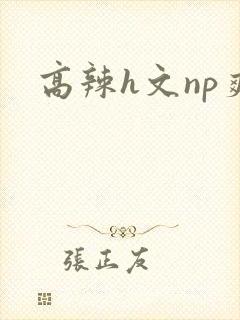 高辣h文np爽