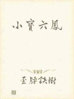 小宝六凤封面