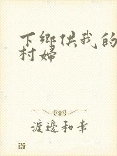 下乡供我的发泄村妇封面