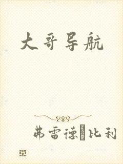 大哥导航