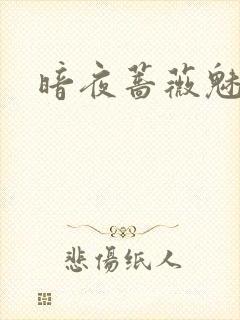 暗夜蔷薇魅封面
