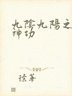九阴九阳之阴阳神功封面