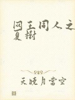 网王同人之桃生夏树封面