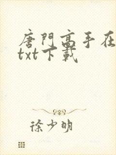 唐门高手在异世txt下载