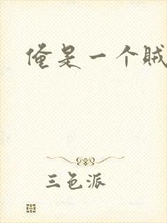 俺是一个贼